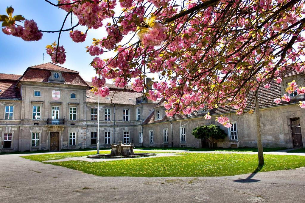 Gaestehaus Schloss Plaue Brandenburg  Exterior foto